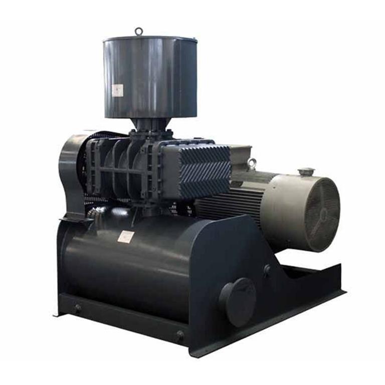 Dyna Positive Displacement Blowers .
